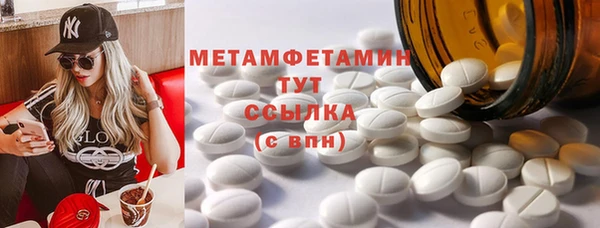 прущие грибы Дмитриев