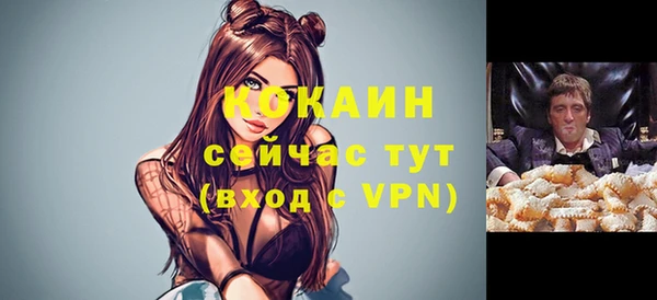 прущие грибы Дмитриев