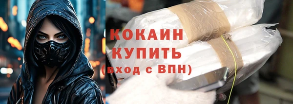 прущие грибы Дмитриев