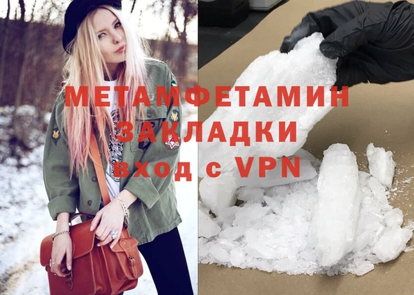 прущие грибы Дмитриев