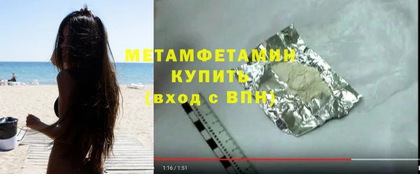 прущие грибы Дмитриев