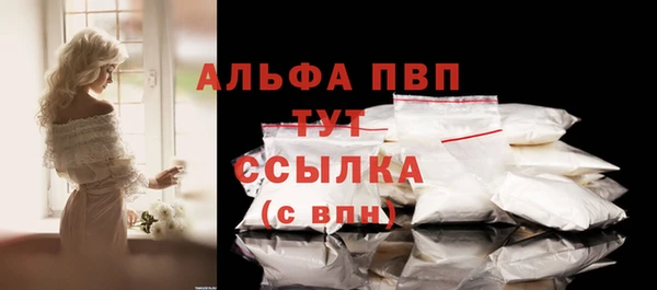 стаф Заволжск