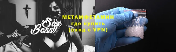 прущие грибы Дмитриев