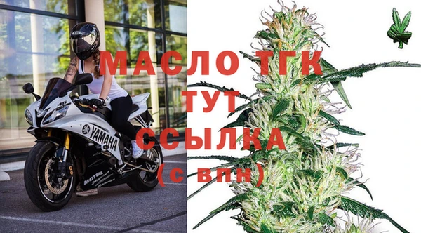 прущие грибы Дмитриев