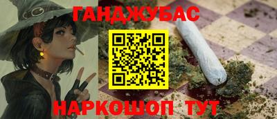 стаф Гай