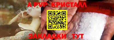 стаф Гай