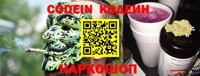 стаф Гай