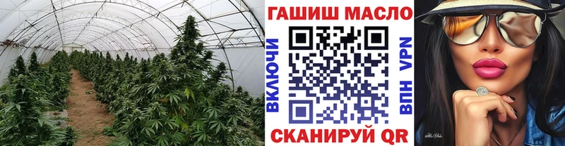 ТГК концентрат  где купить   Керчь 