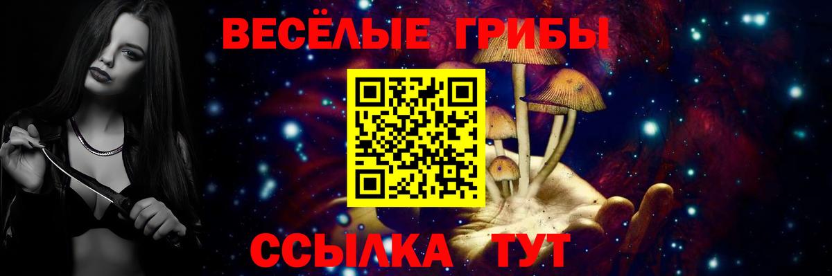 Псилоцибиновые грибы Cubensis  Вход с VPN  Керчь 